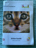 Pixel Set: Kitten hoofd