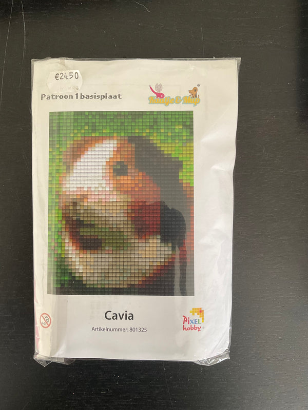Pixel Set: Cavia
